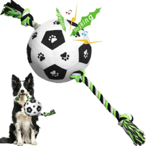 RUCACIO Interactive Dog Ball