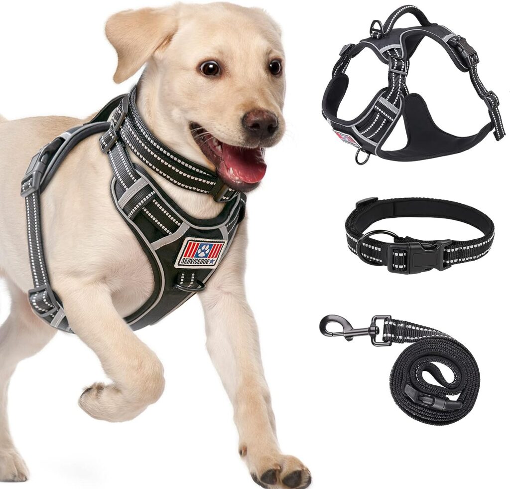 Dog Harness, Rywell No Pull Dog Harness and Lead Set for Dog[with Collar]Adjustable Breathable Soft Anti Pull Dog Harness with Reflective and Control Handle for Easy Walking and Training