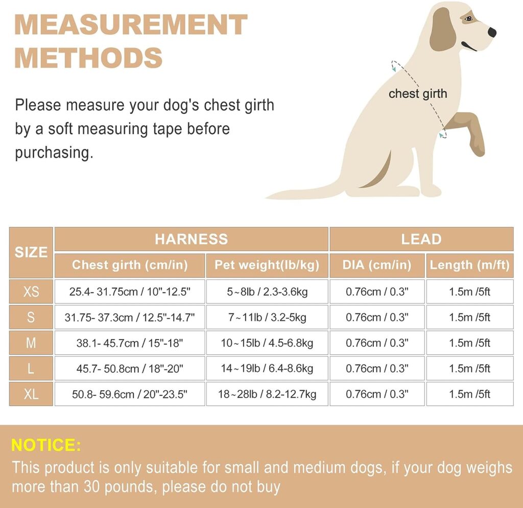 haapaw Dog Harness and Lead Set, No Pull Adjustable Reflective Step-in Puppy Harness with Thickened Padded Vest for Extra-Small/Small Medium Dogs