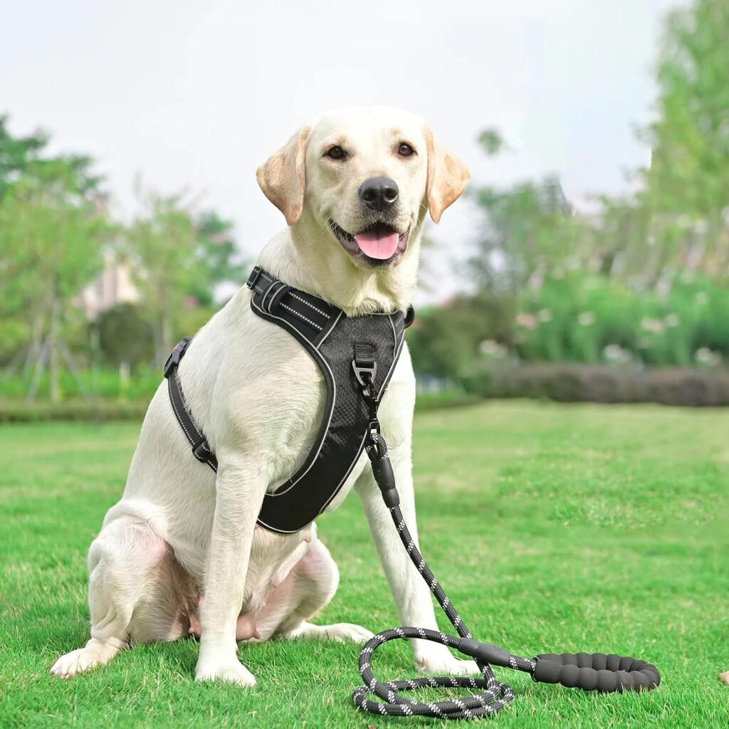 haapaw No Pull Dog Harness Adjustable Reflective Oxford Easy Control Medium Large with a Free Heavy Duty Dog Lead