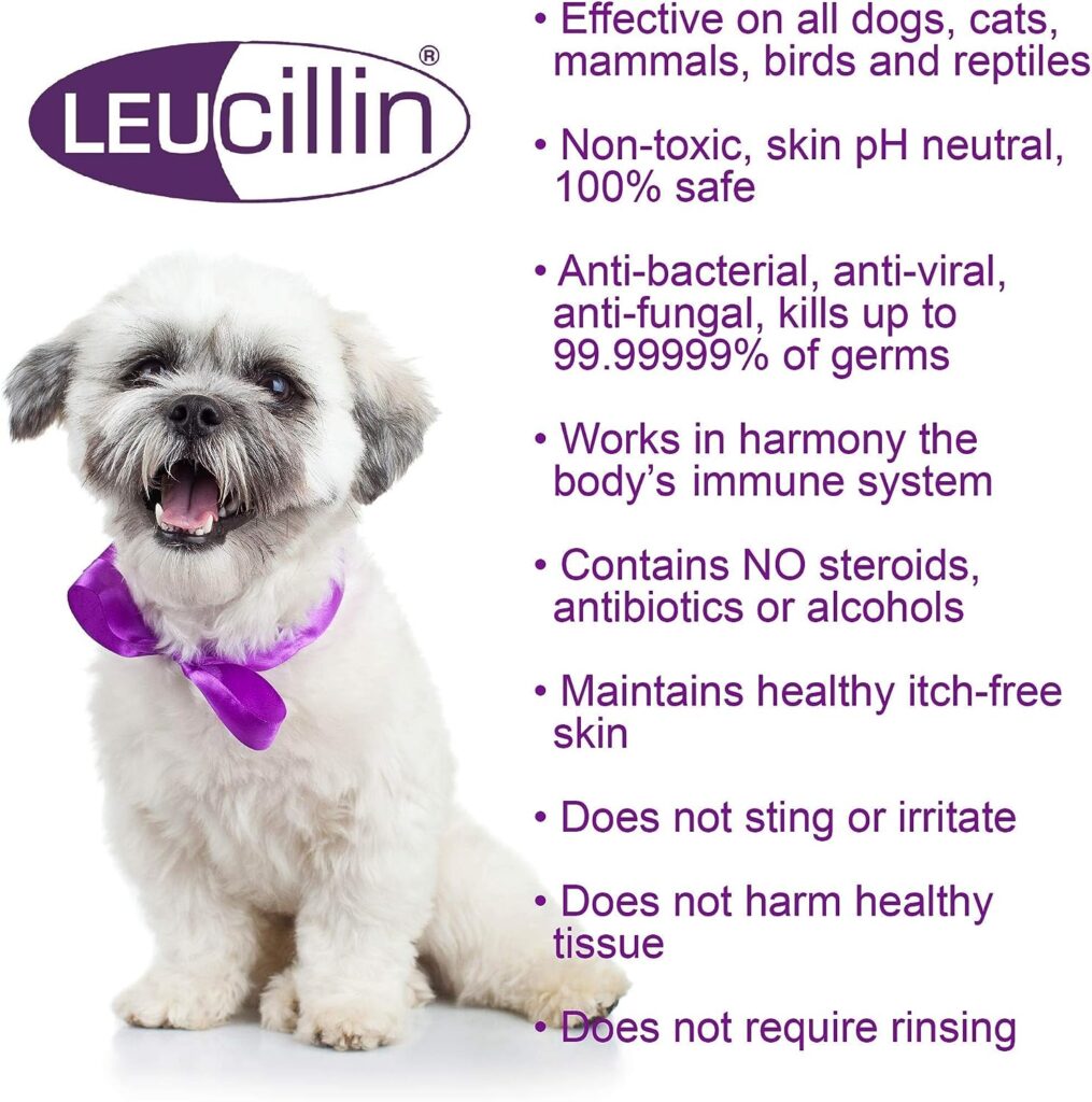 Leucillin Natural Antiseptic Spray | Antibacterial, Antifungal  Antiviral | for Dogs, Cats and All Animals | for Itchy Skin, Minor-wound Care and All Skin Care Health | 250ml