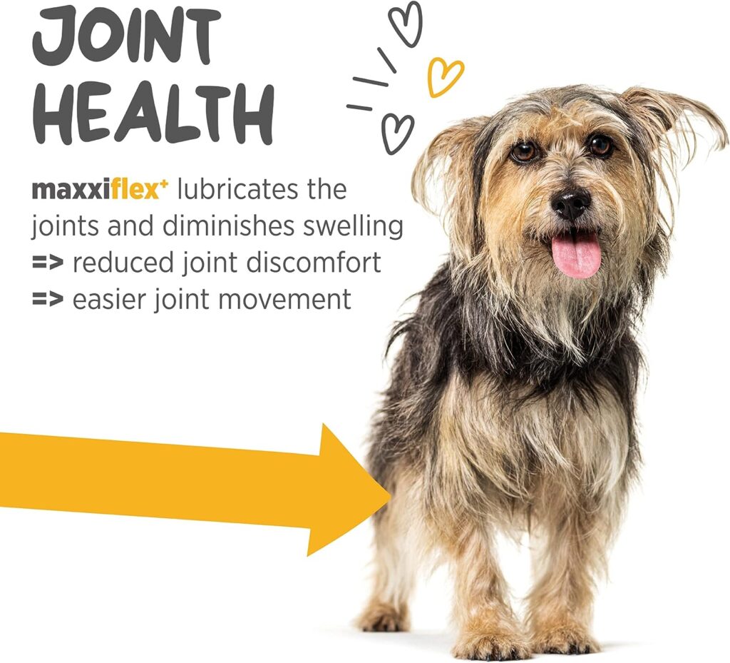 maxxipaws maxxiflex+ Advanced Joint Supplement for Dogs - High Strength Joint Aid and Care for All Dogs - 120 Liver Flavoured Tablets