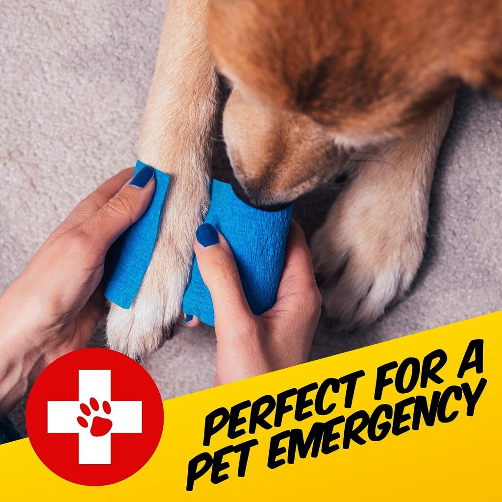 PawPride Portable Pet First Aid Kit For your Dog and Puppy, 47 pieces included, ideal dog walking accessories, keep your pet dogs safe when you travel