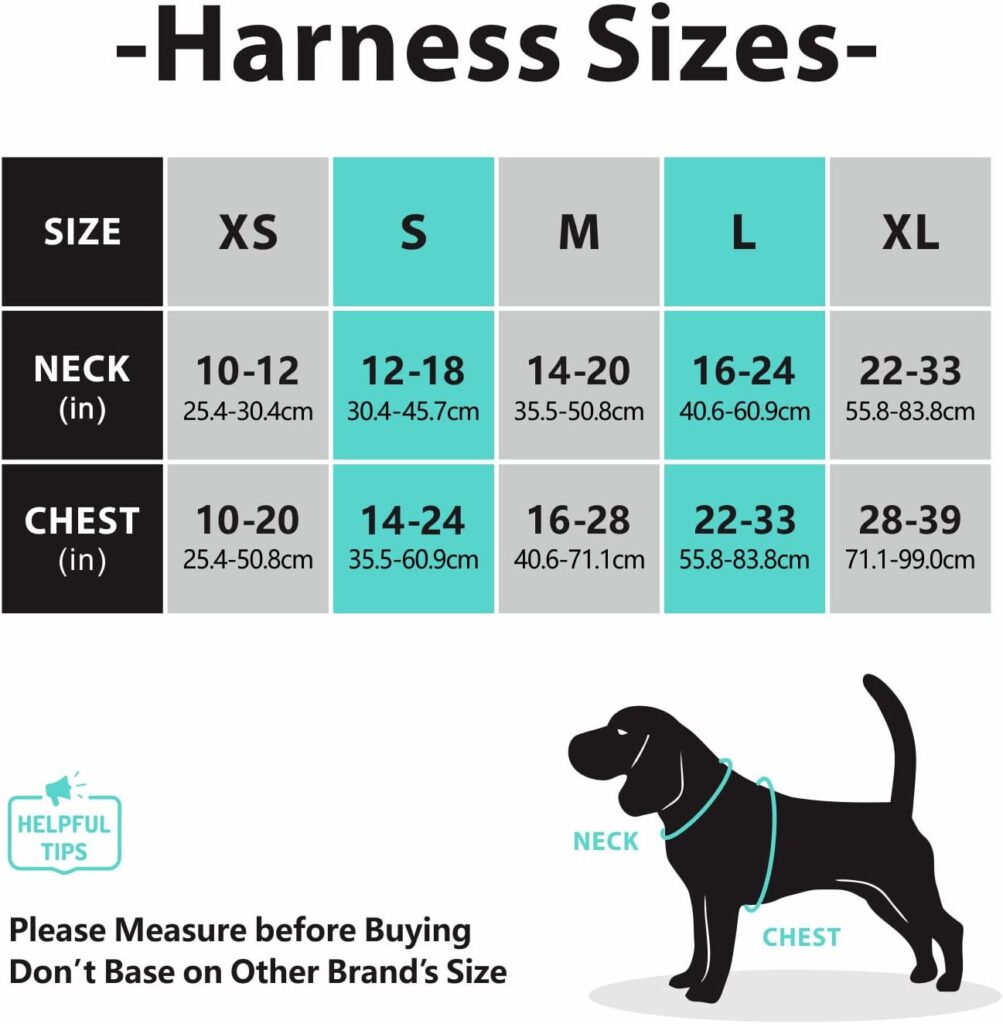 PoyPet No Pull Dog Harness, Reflective Dog Harness for No Choke Dogs, Soft Padded Pet Vest with Easy Control Handle(Tumalo Teal Matching Trim, M)