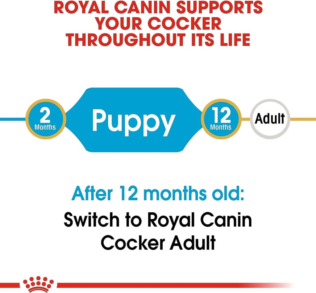 Royal Canin Dog Food Cocker Puppy Complete 3KG