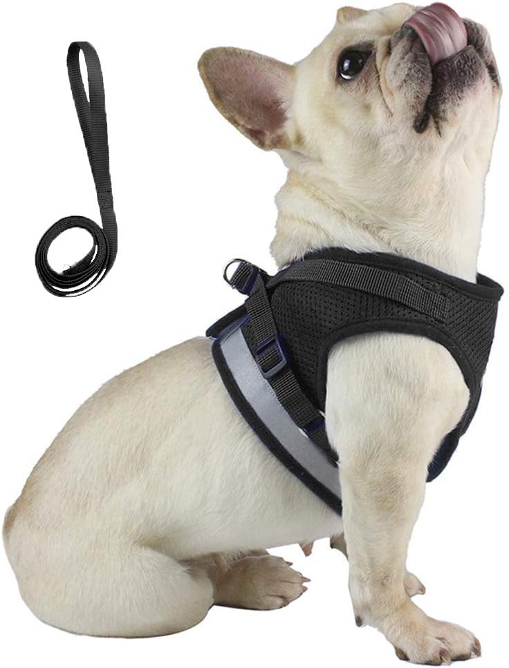 Soft Mesh No Pull Dog/Cat Collar and Lead Set for Walking, Escape Proof Cats/Dogs Vest Harness with Handle for Puppy Small Animals, Reflective Cool Cat Collars for Small Dogs (Small, Black)