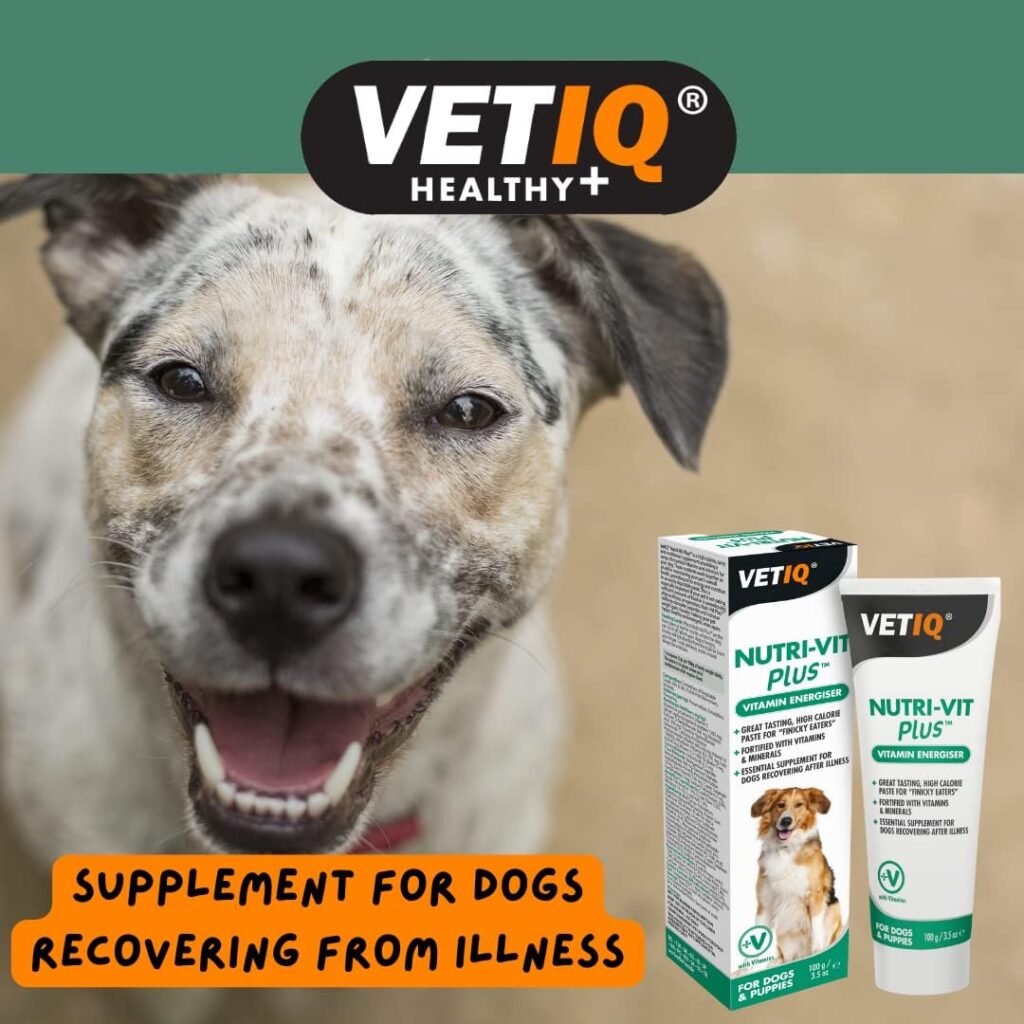 VetIQ Nutri-Vit Plus, 100g, Dog Supplement with Vitamins  Minerals, For Convalescing Dogs, Extra Energy  Nutrition In Easy Paste, One of the Essential Health Supplies For Dogs