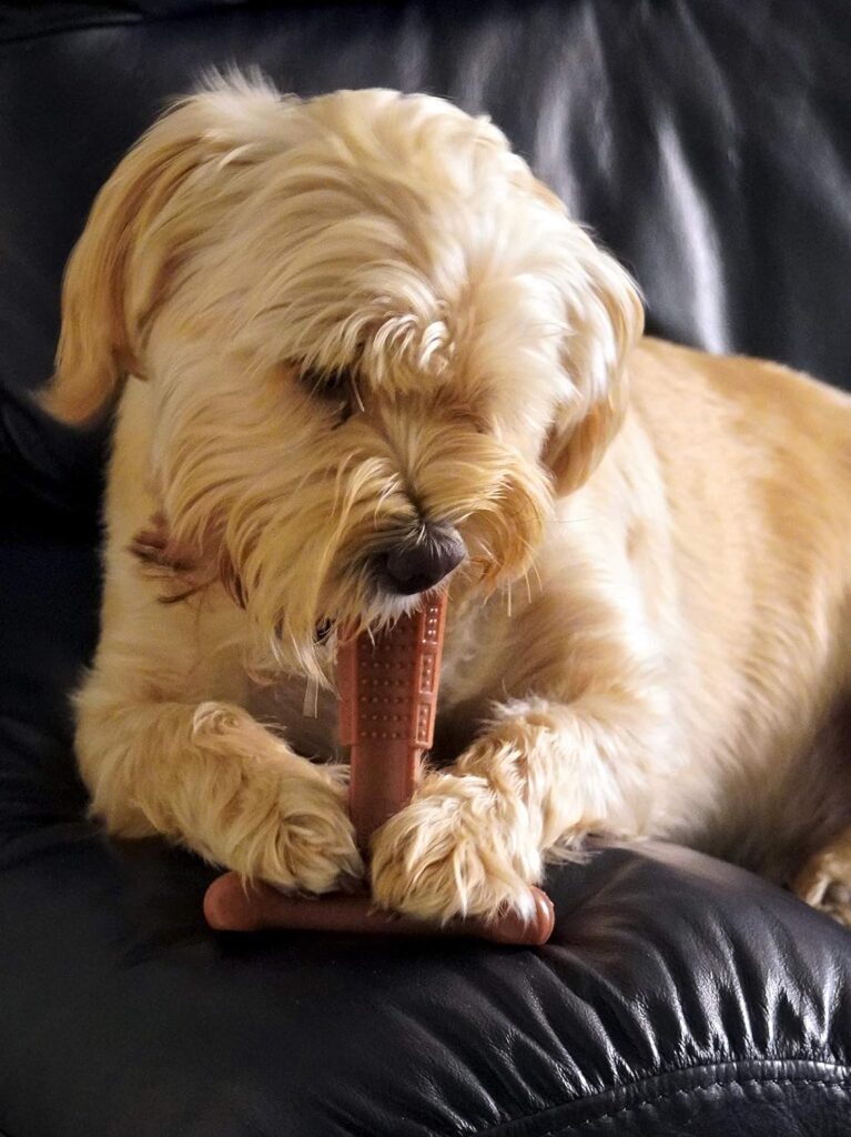 Bamboodles T-Bone Chew Toy for Dogs - Small 4 Peanut Butter Flavour, for All Breed Sizes