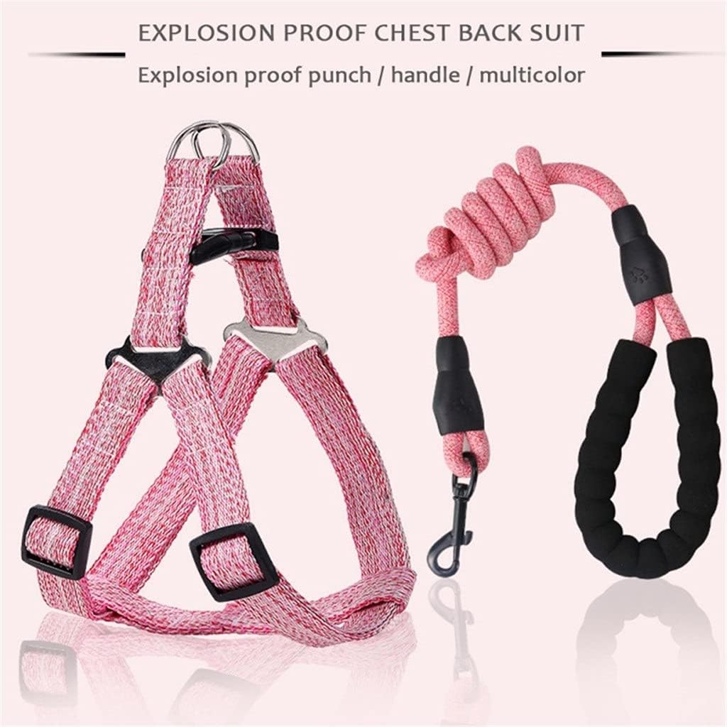 chongwuyongpin Harness Vest Adjustable Puppy Kitten Collars Cute Walking Lead Leash Set Chihuahua Harnesses for Small Dogs Pug pet Leash (Color : B, Size : S Code)