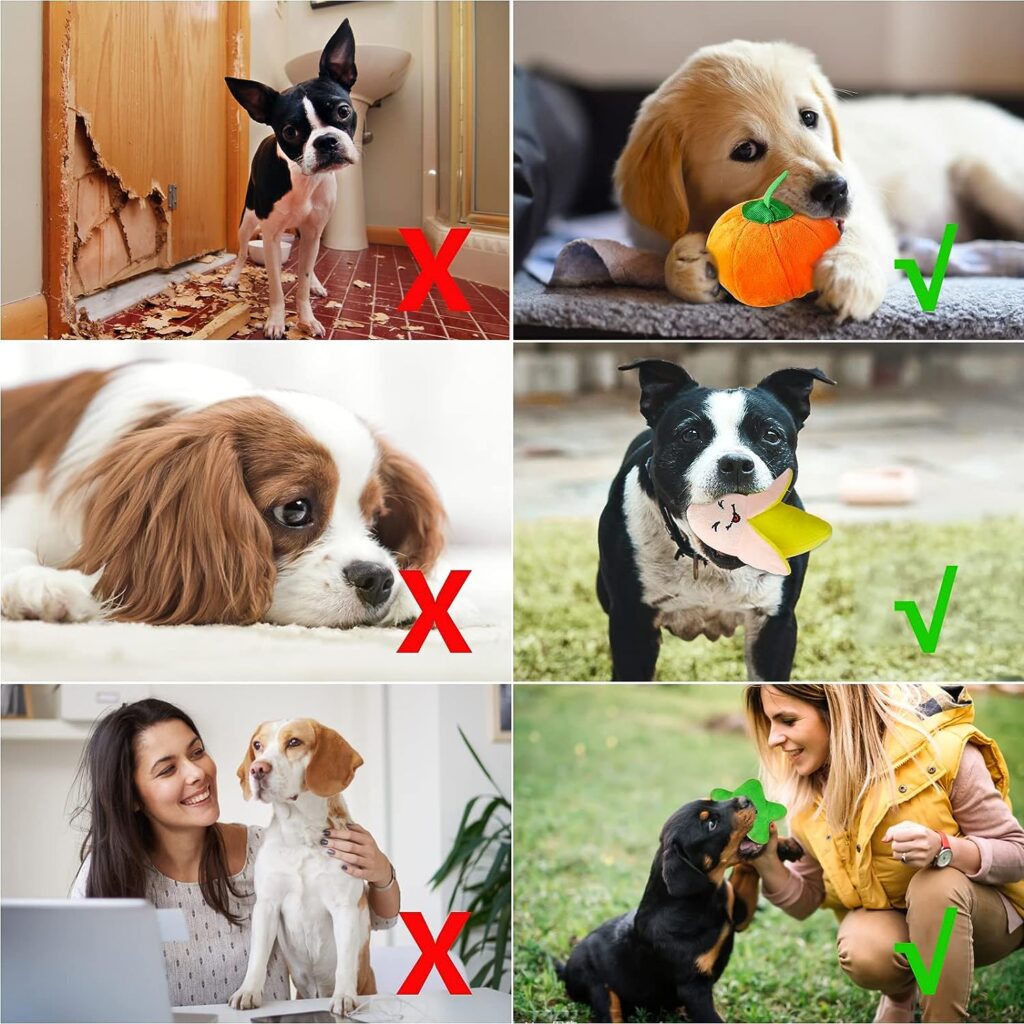 Glaublieb 10 PCS Squeak Toys for Dog, Cute Soft Interactive Plush Dog Toys for Small and Medium Dogs to Alleviate Boredom, Up to 12 kg