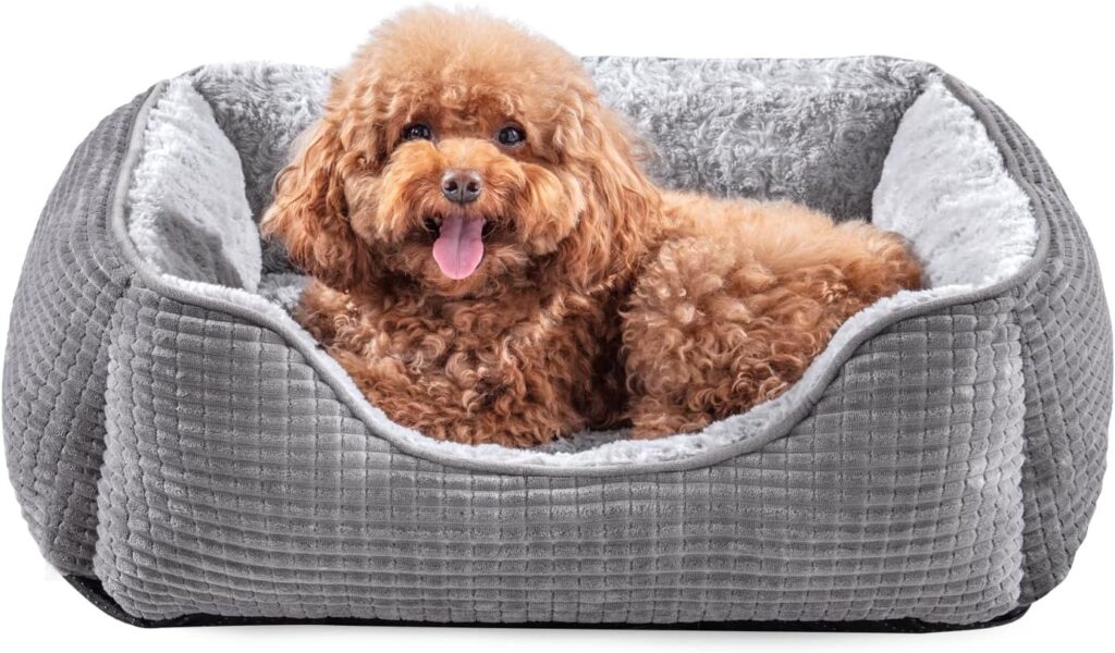 JOEJOY Medium Dog Bed Washable Pet Bed, Orthopedic Calming Dog with Raised Edges Rectangle Dog Bed Non-Slip Bottom Puppy Bed, Soft Rose Velvet Pet Bed For Medium Dogs, Grey, 63x53x21 cm