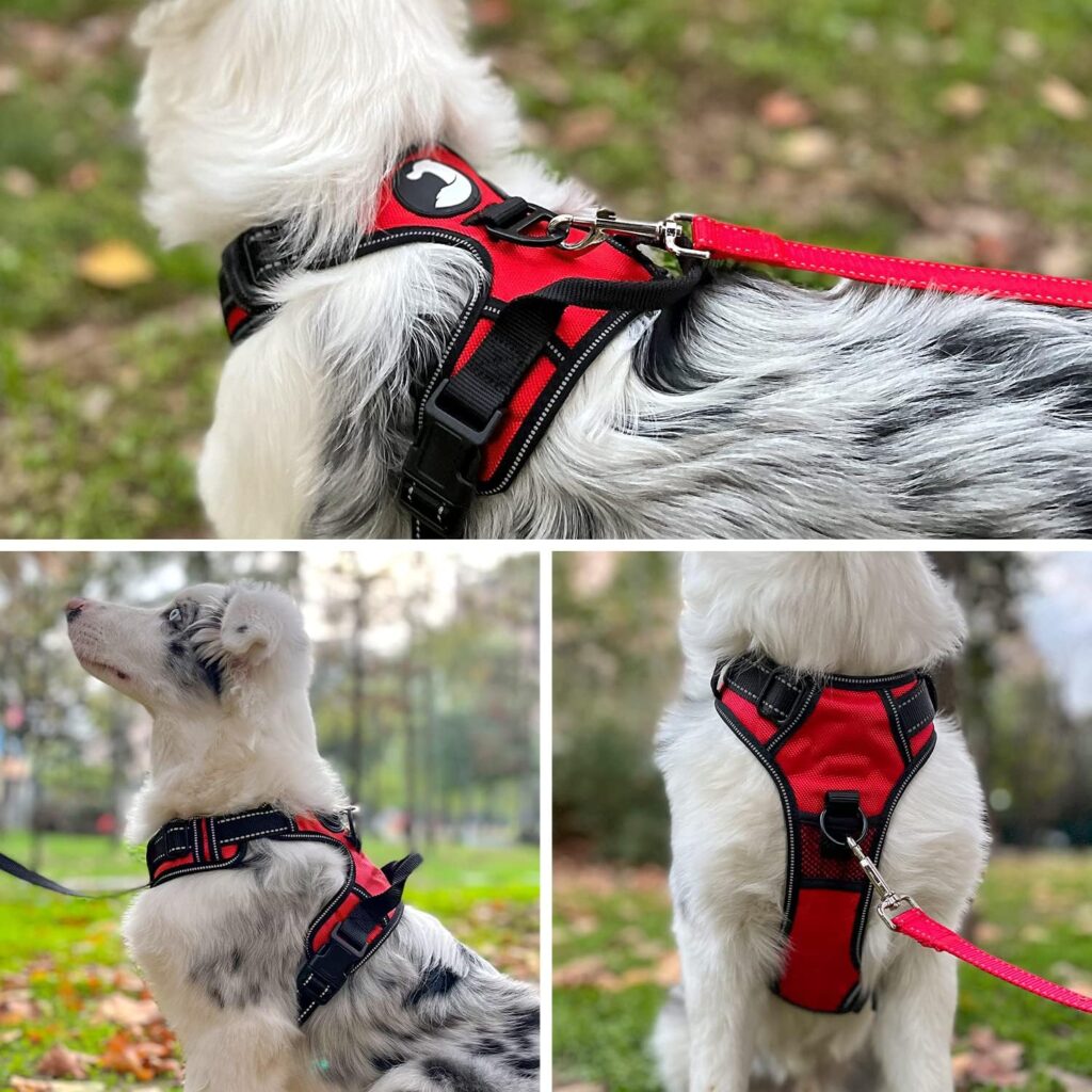 Joytale Dog Harness No Pull, Reflective Pet Vest Harnesses with Front Back 2 Lead Clips, Soft Breathable Harness with Easy Control Handle for Large Dogs Training and Walking, Red, L