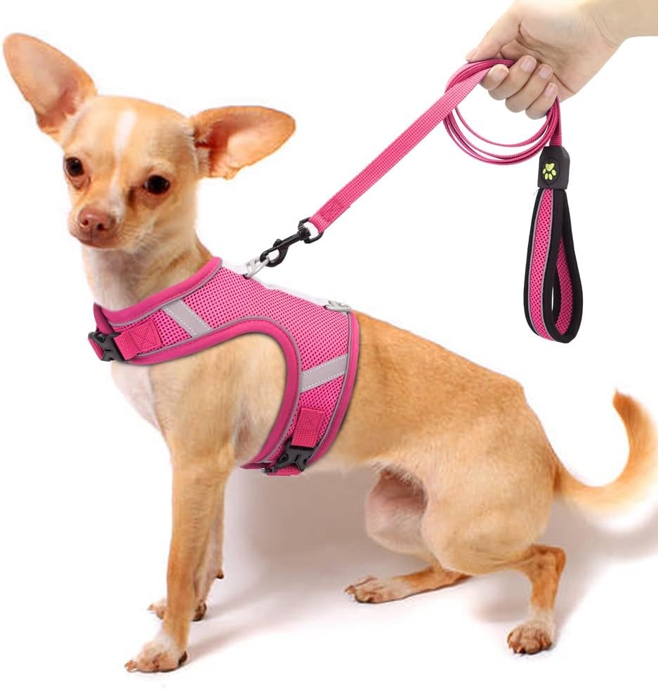 LEIGE Breathable Mesh Dog Cats Harness Leash Set Reflective Nylon Puppy Harness Vest Adjustable Walking Lead for Small Medium Dogs (Color : D, Size : L)