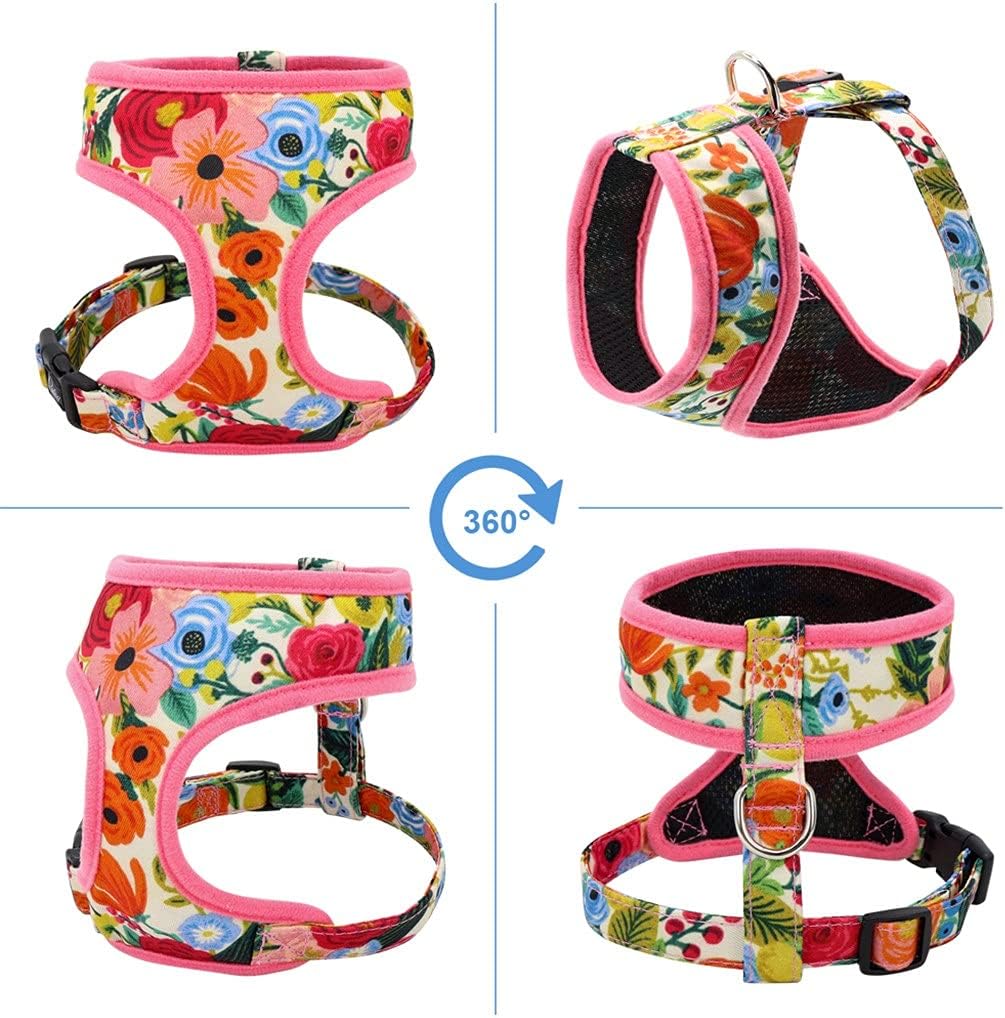 N/A Nylon Dog Harness and Leash Set Fashion Printed No Pull Pet Dog Harness Vest Lead Leashes for Small Medium Large Dogs (Color : D, Size : XL code)
