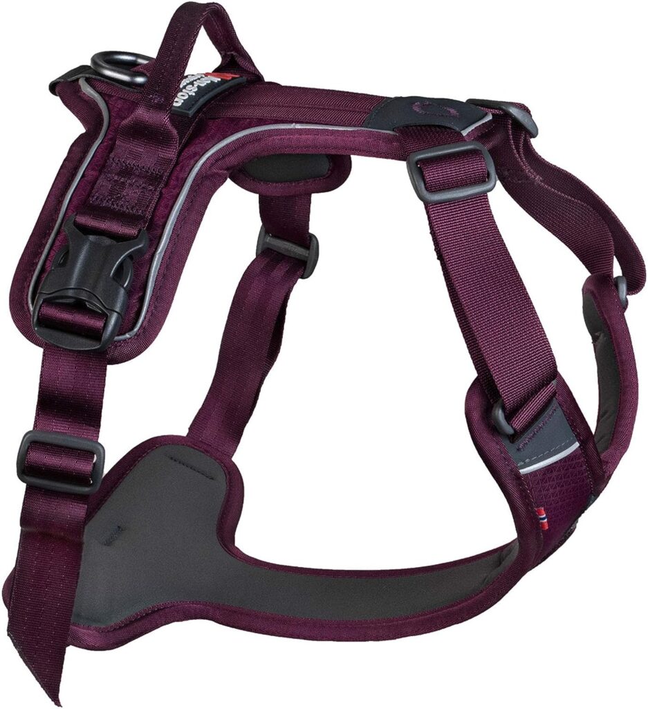 Non-stop dogwear Ramble Harness Purple Lead and Everyday Harness, Size: M