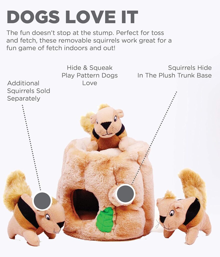 Outward Hound Hide A Squirrel Plush Dog Toy Puzzle, Small